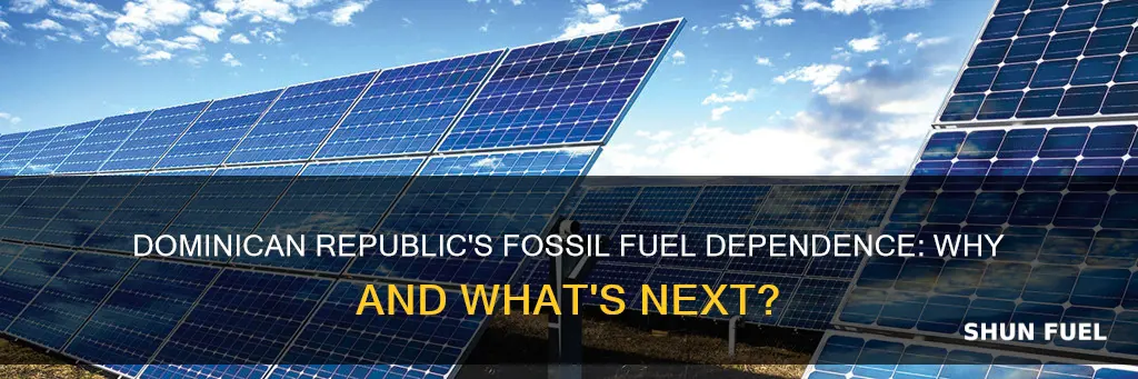 why does dominican republic use fossil fuels