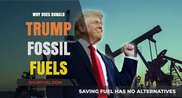 Trump's Fossil Fuel Policies: Environmental Impact and Economic Implications