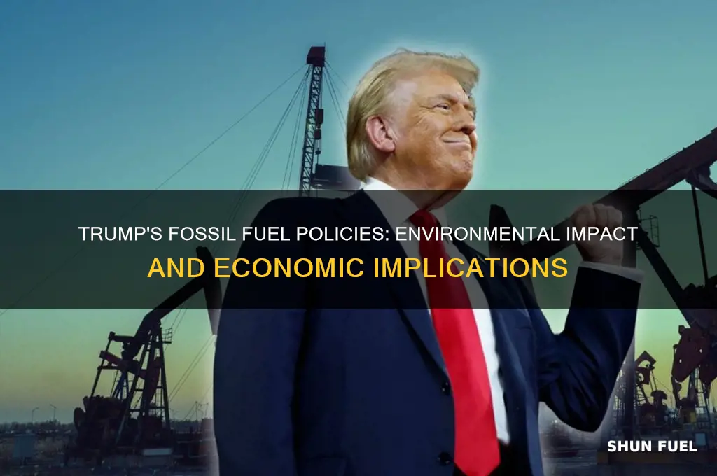 why does donald trump fossil fuels