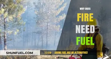 The Essential Element: Why Fire Can't Burn Without Fuel