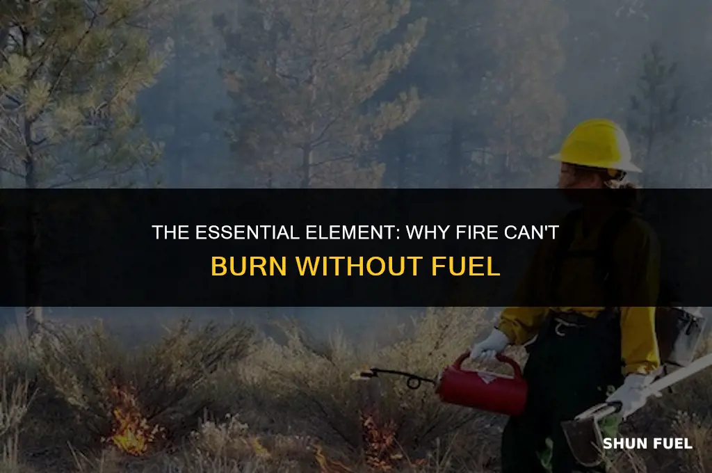 why does fire need fuel