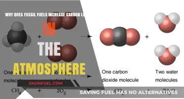 Fossil Fuels' Impact: How Burning Increases Atmospheric Carbon Levels