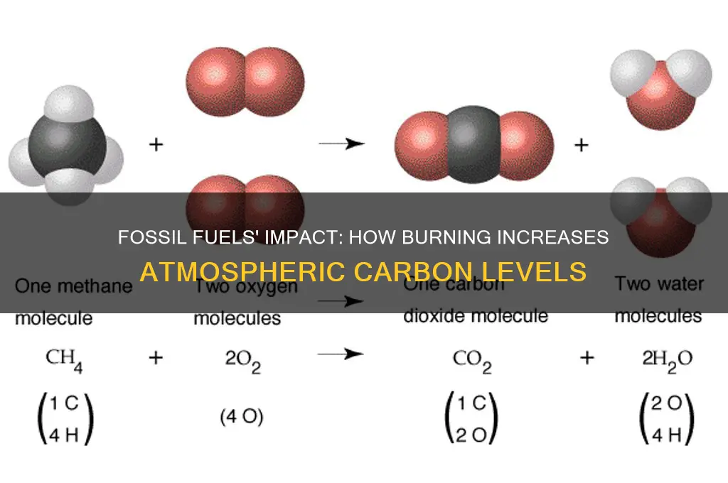 why does fossil fuels increase carbon levels in the atmosphere