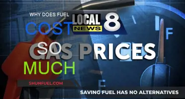 The Rising Fuel Cost Crisis: Why So Expensive?