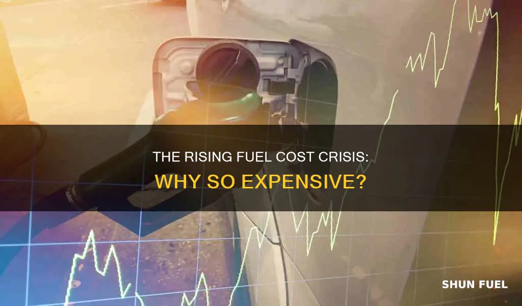 why does fuel cost so much