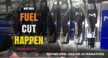 Understanding Fuel Cut: Causes and Consequences for Your Vehicle