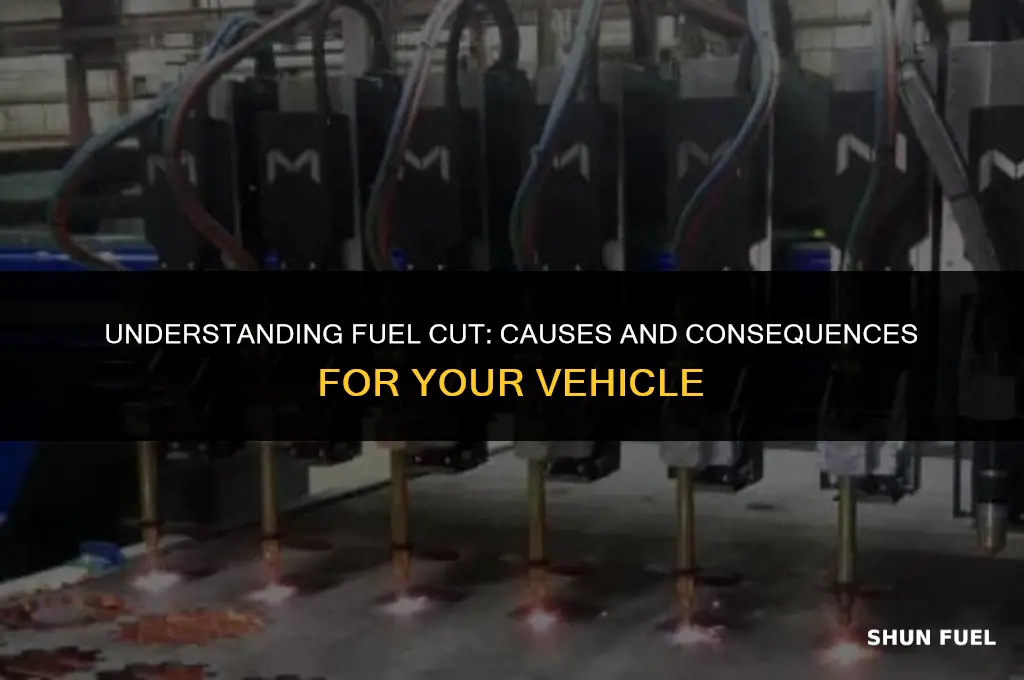 why does fuel cut happen
