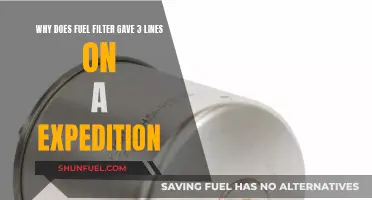 Fuel Filter Fault: Three Lines and Their Meaning