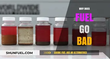 Why Does Fuel Go Bad? Understanding the Shelf Life of Gasoline
