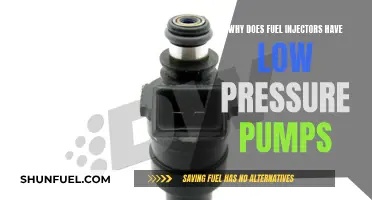 Fuel Injectors: Low-Pressure Pumps for High Performance