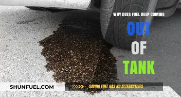 Fuel Leaks: Why Your Tank is Crying for Help