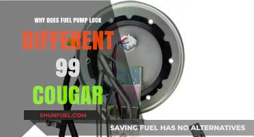 Why Does the 1999 Cougar Fuel Pump Look Different?