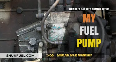 Why Gas Leaks from Your Fuel Pump: Causes and Fixes
