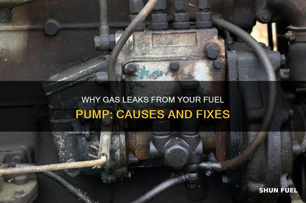 why does gas keep coming out of my fuel pump