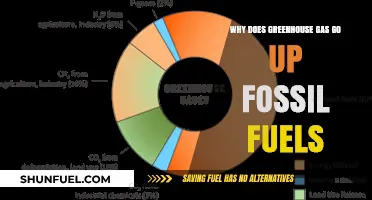 Fossil Fuels and Rising Greenhouse Gases: Unraveling the Connection