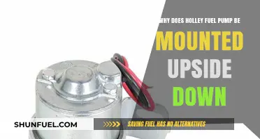 Why Holley Fuel Pumps Are Mounted Upside Down: Explained