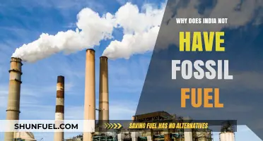 India's Energy Paradox: Why Fossil Fuels Remain Scarce in a Growing Economy
