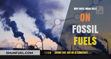 India's Fossil Fuel Dependence: Causes, Challenges, and Future Alternatives