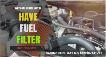 Fuel Filters: Essential for Engine Health and Performance