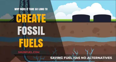 The Slow Process of Fossil Fuel Formation: Unraveling Nature's Timeline