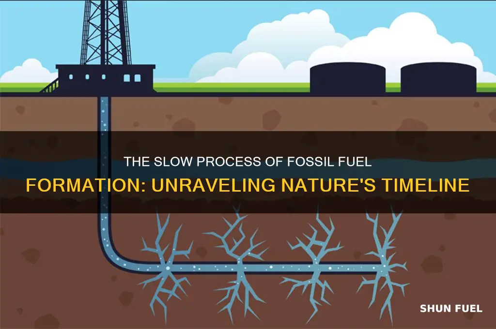 why does it take so long to create fossil fuels
