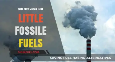 Japan's Energy Dilemma: The Scarcity of Fossil Fuels Explained
