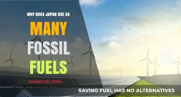 Japan's Fossil Fuel Dependence: Why?