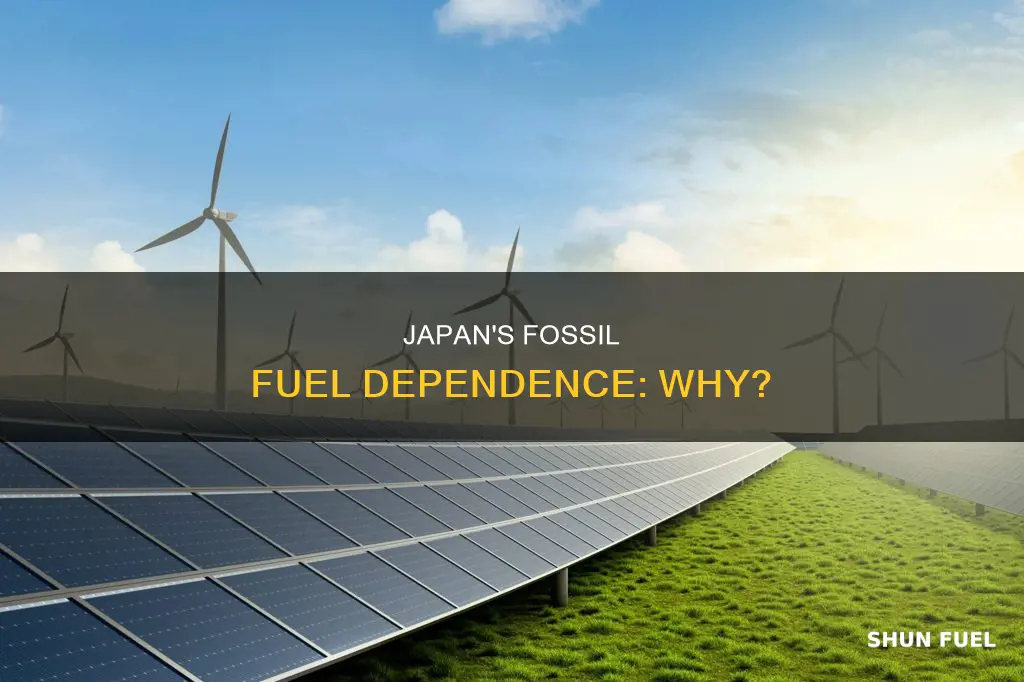 why does japan use so many fossil fuels