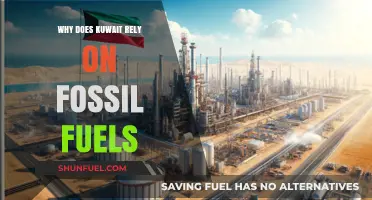 Kuwait's Fossil Fuel Dependence: Economic, Historical, and Geopolitical Factors Explained