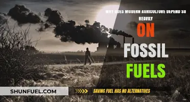 Fossil Fuels: The Hidden Backbone of Modern Agriculture's Success