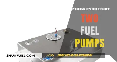 Dual Fuel Pumps in 1972 Ford F150: Purpose and Function Explained