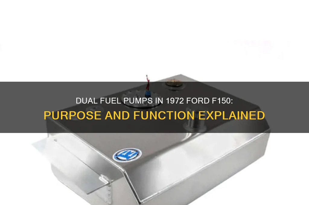 why does my 1972 ford f150 have two fuel pumps