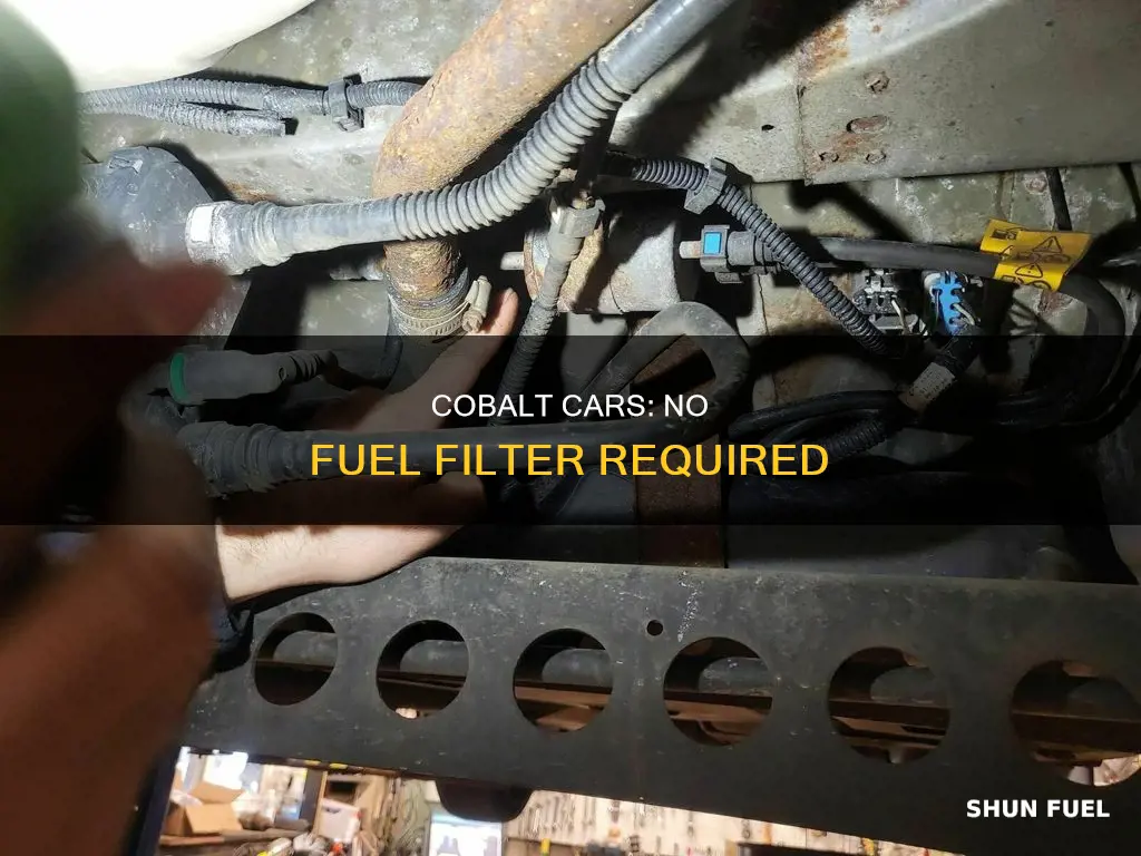 why does my 2009 cobalt have no fuel filter