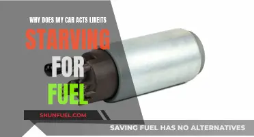 Car's Fuel-Starved Symptoms: Understanding the Mystery