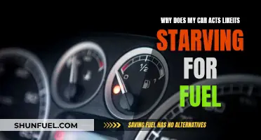 Troubleshooting a Fuel-Starved Car: What You Need to Know