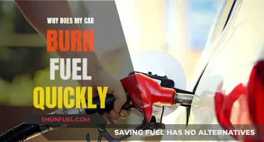 Fuel Efficiency: Why Does My Car Guzzle Gas?