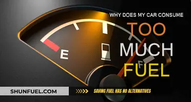 Fuel Efficiency: Why Your Car Drinks More