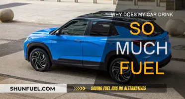 Fuel Consumption: Why Your Car Drinks More