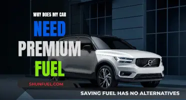 Premium Fuel: Why Your Car Needs It