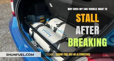 Troubleshooting CNG Vehicle Stalling Issues Post-Brake: A Comprehensive Guide