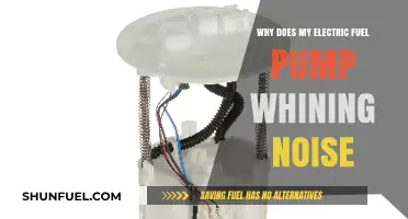 Electric Fuel Pump Whining Noise: Causes and Troubleshooting Tips