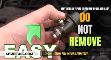 Fuel Pressure Regulator: Why the Stern Warning?