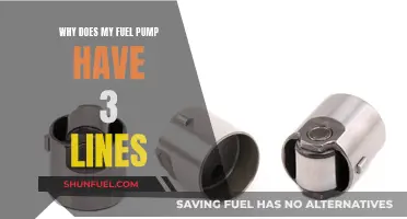 Fuel Pump Mystery: Three Lines, Why?