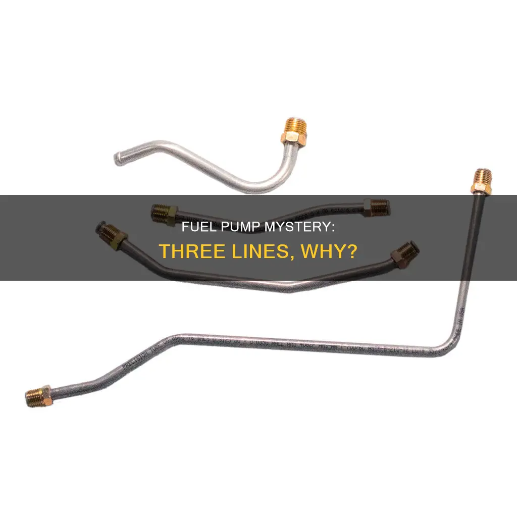 why does my fuel pump have 3 lines