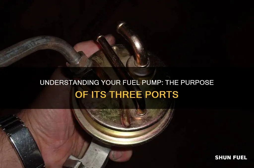 why does my fuel pump have 3 ports