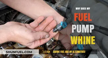 Why Does My Fuel Pump Whine? Causes and Solutions Explained