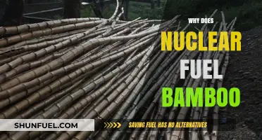 Exploring the Myth: Does Nuclear Fuel Really Benefit Bamboo Growth?
