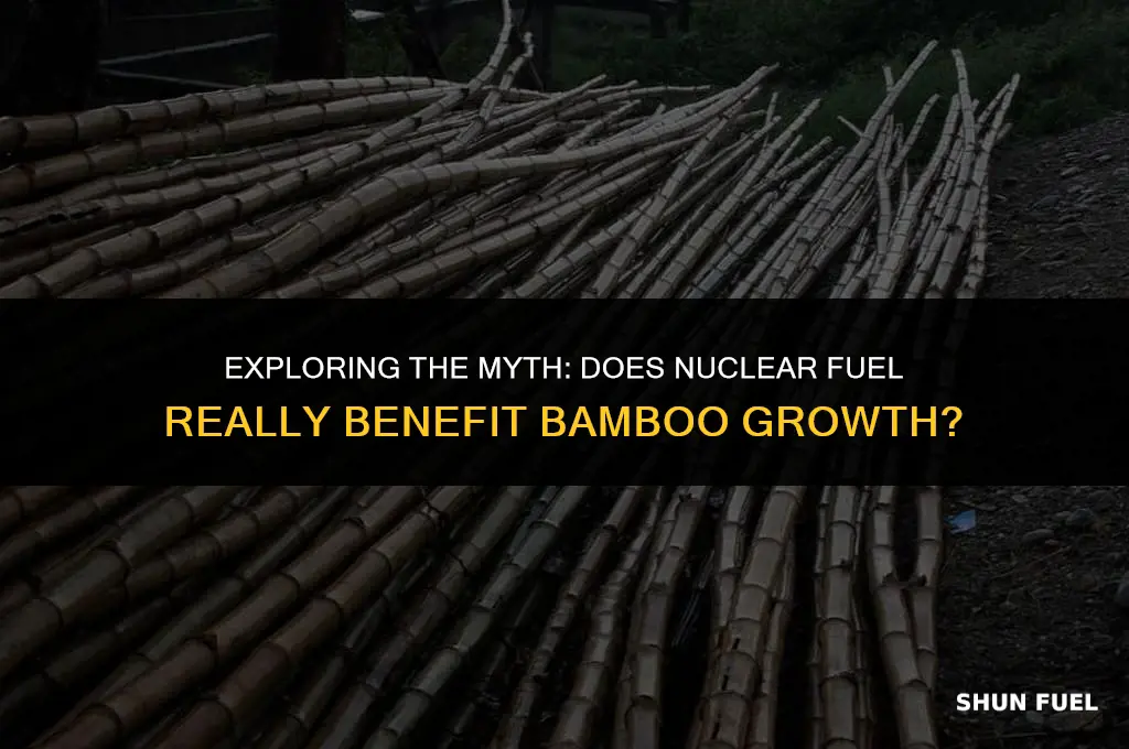 why does nuclear fuel bamboo