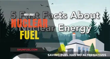 Unveiling the Mysteries: Why Does Nuclear Fuel Matter?