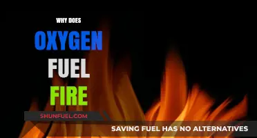Unleashing the Power: How Oxygen Fuels Fire and Ignites Life
